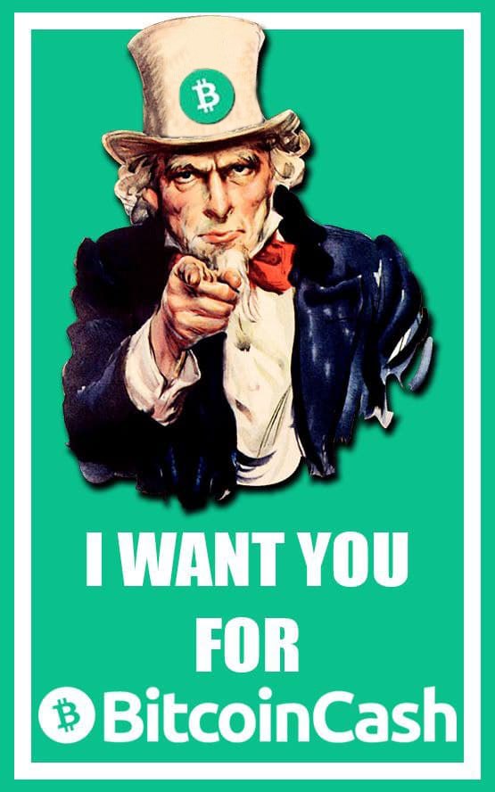 I want YOU for BCH!